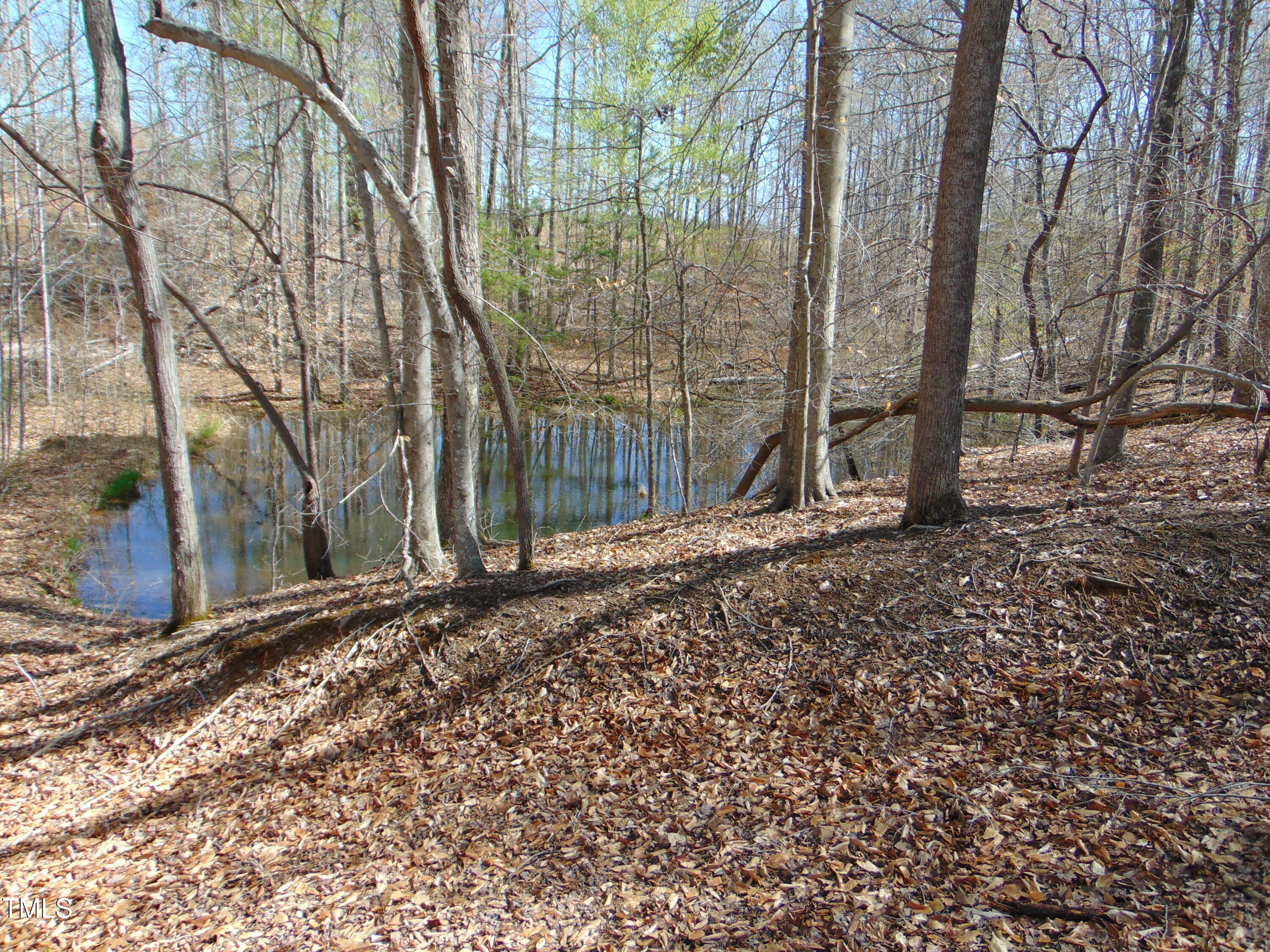 2391 Allison Road Pelham, NC 27311 - Photo 64 of 70 DSC01095