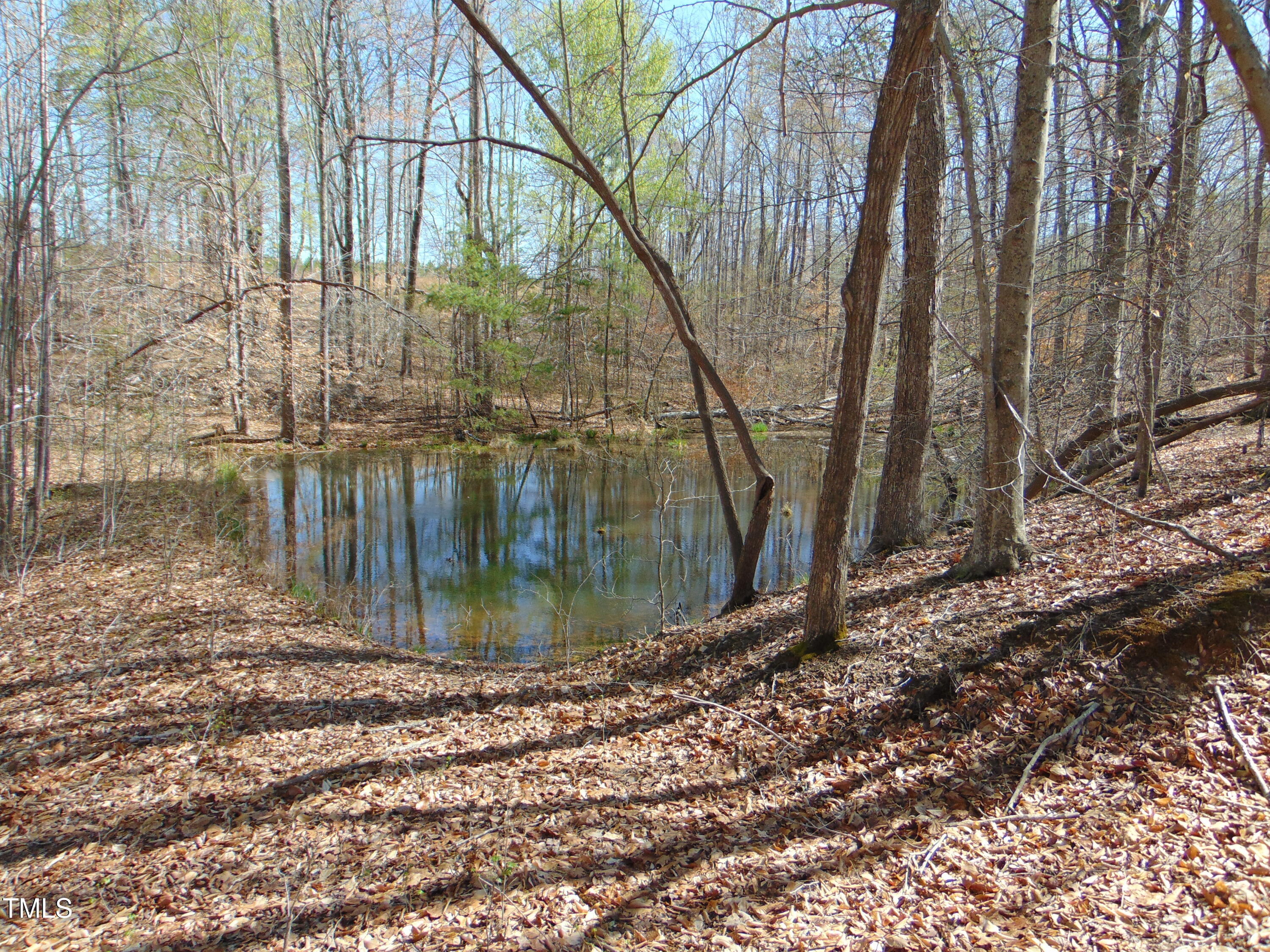 2391 Allison Road Pelham, NC 27311 - Photo 65 of 70 DSC01096