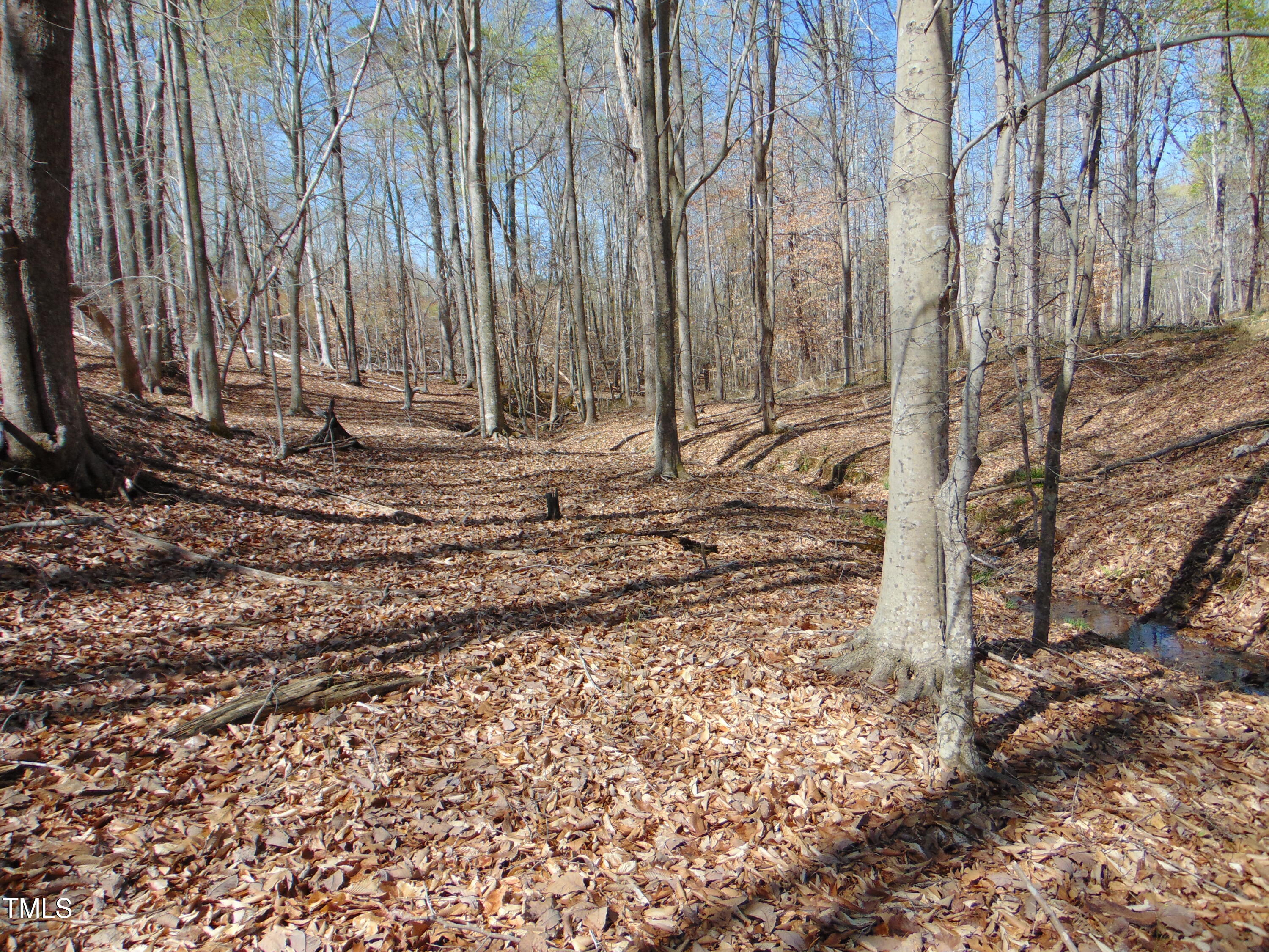 2391 Allison Road Pelham, NC 27311 - Photo 66 of 70 DSC01097