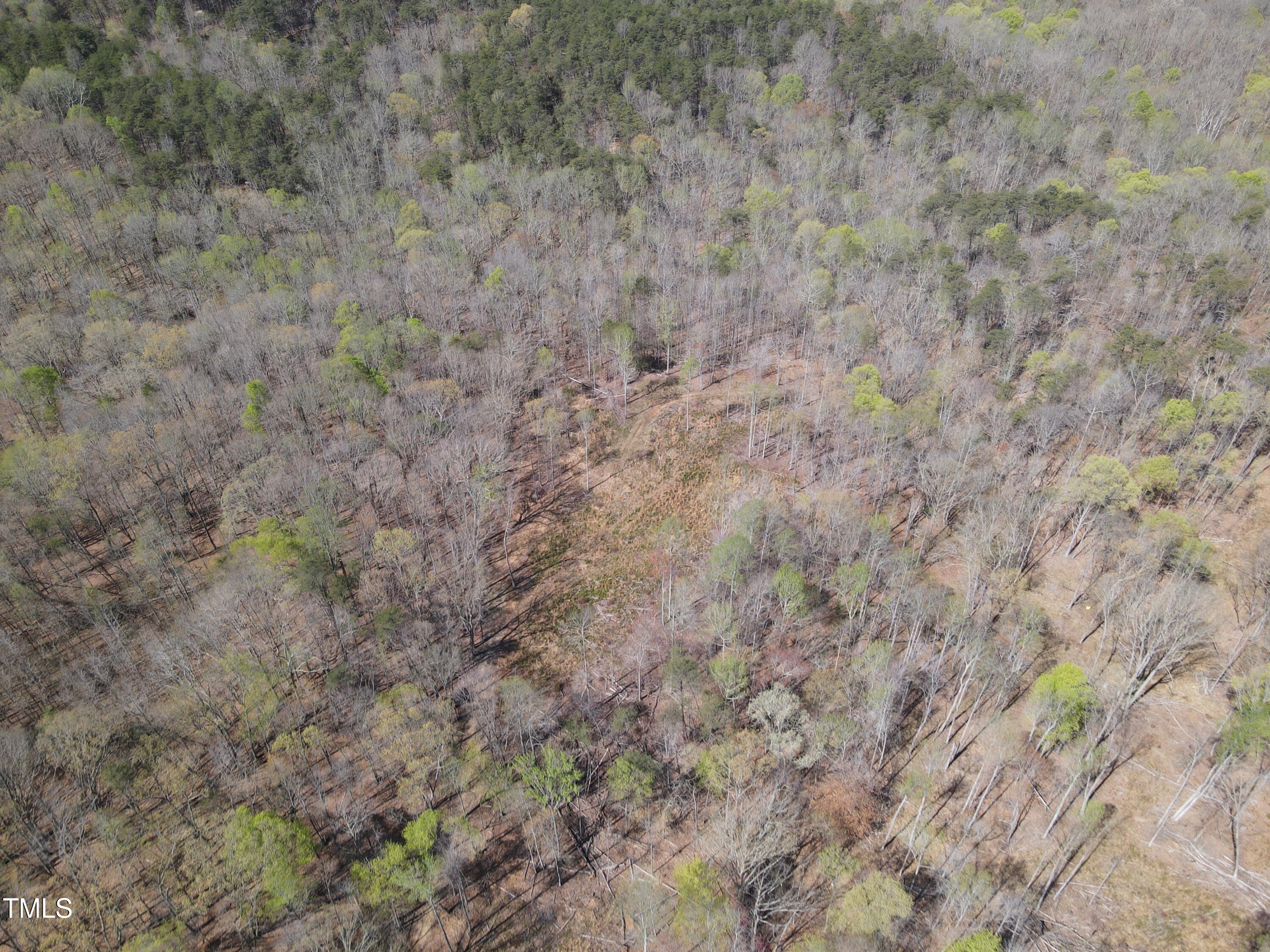 2391 Allison Road Pelham, NC 27311 - Photo 8 of 70 DJI_0413