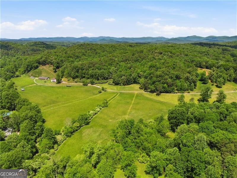 619 Hamp Mill Road Dahlonega, GA 30533 - Photo 95 of 118