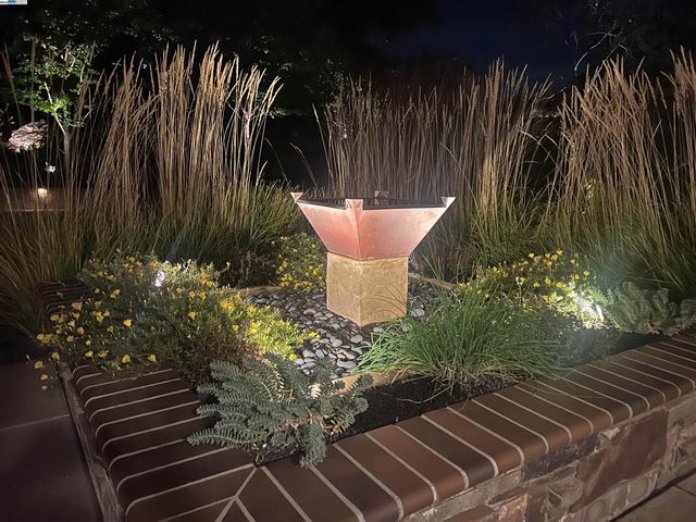 a view of a backyard with plants