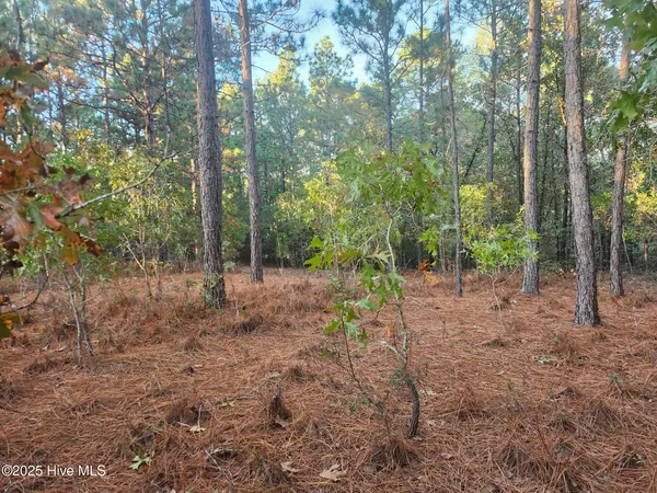 $80,000 | 4 Brassie Circle, Jackson Springs, NC 27281