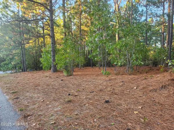 $80,000 | 4 Brassie Circle, Jackson Springs, NC 27281