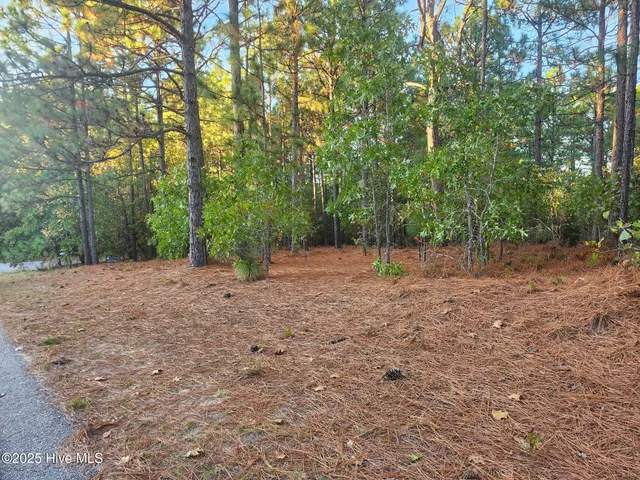 $80,000 | 4 Brassie Circle, Jackson Springs, NC 27281