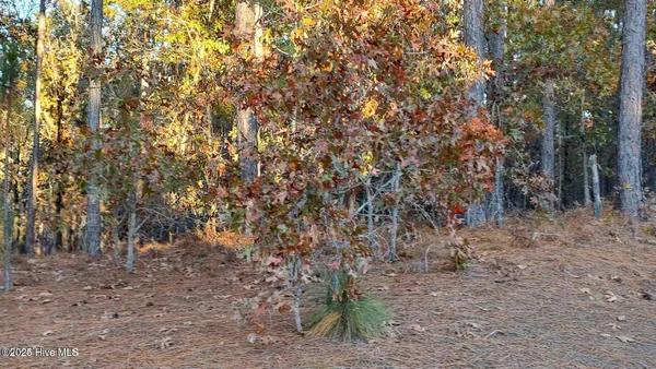 $80,000 | 4 Brassie Circle, Jackson Springs, NC 27281