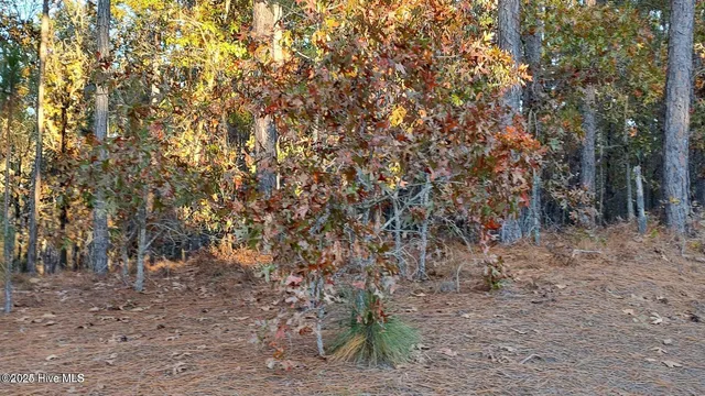 $80,000 | 4 Brassie Circle, Jackson Springs, NC 27281