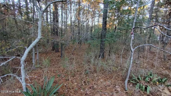 $80,000 | 4 Brassie Circle, Jackson Springs, NC 27281