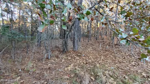 $80,000 | 4 Brassie Circle, Jackson Springs, NC 27281