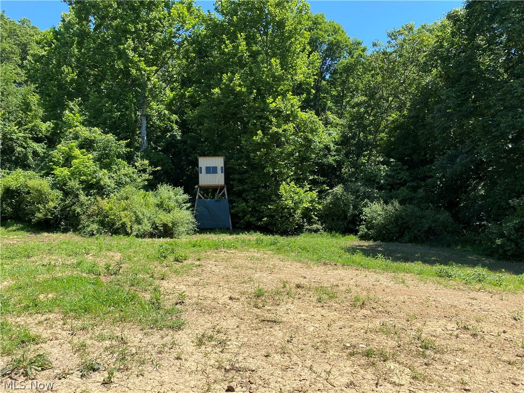 Ashton Hill Road Caldwell, OH 43724 - Photo 13 of 26