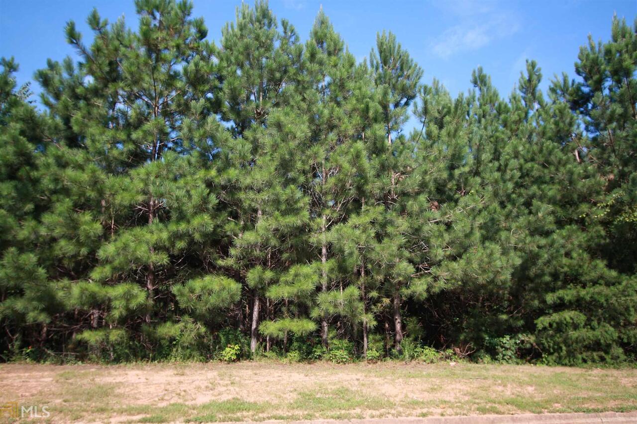 122 Cannon Ridge View, Unit 35 Dallas, GA 30132 - Photo 1 of 1 Gallery Image 1