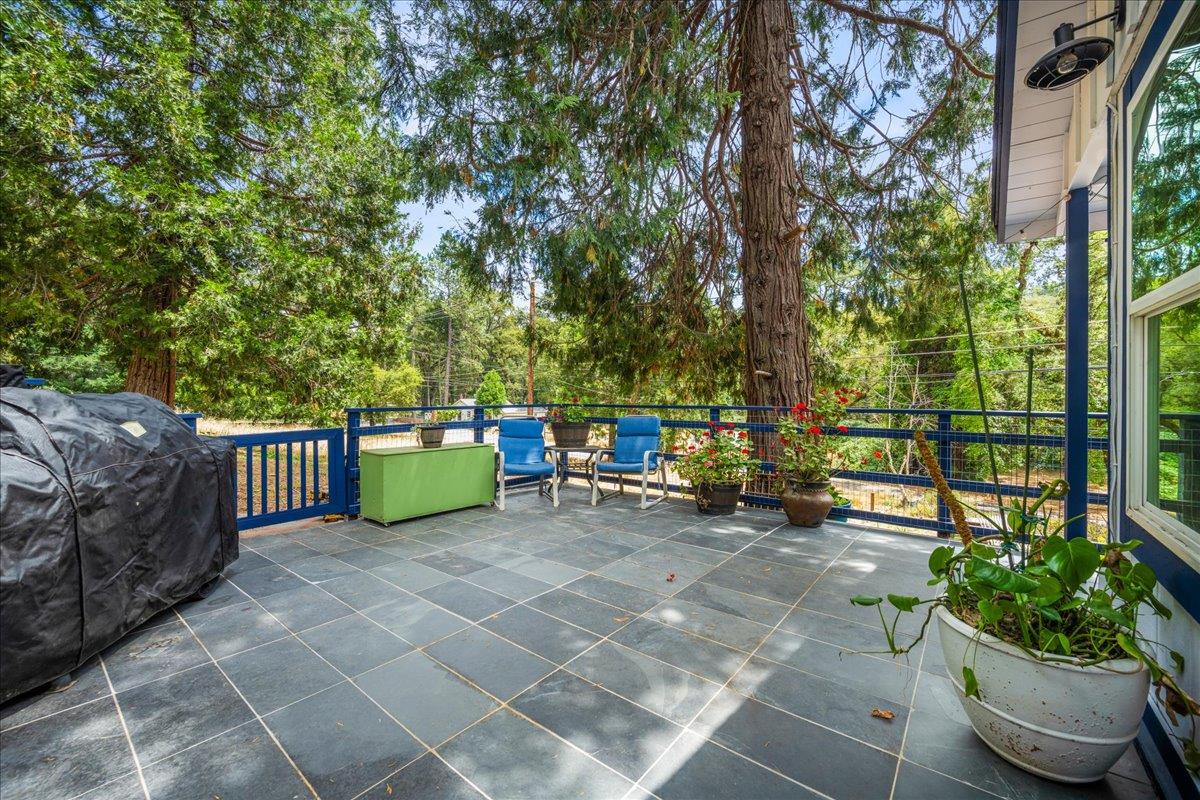 1780 Volley Road Meadow Vista, CA 95722 - Photo 20 of 62