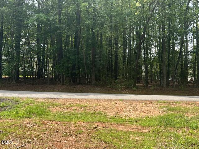 190 Buckaroo Drive Spring Hope, NC 27882 - Photo 2 of 6 IMG_7954