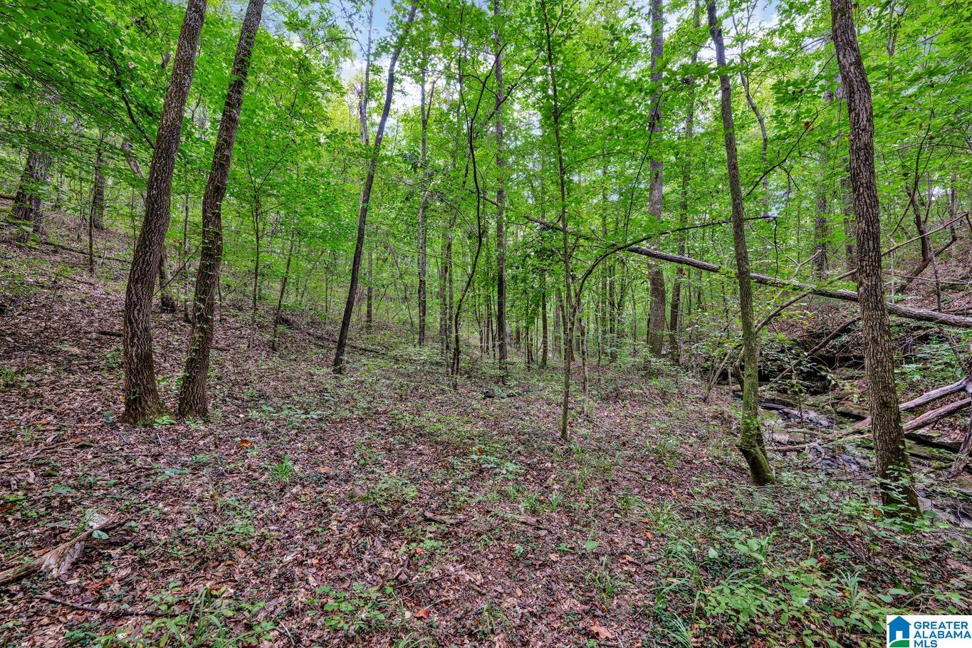 383 Myrick Road Warrior, AL 35180 - Photo 53 of 64