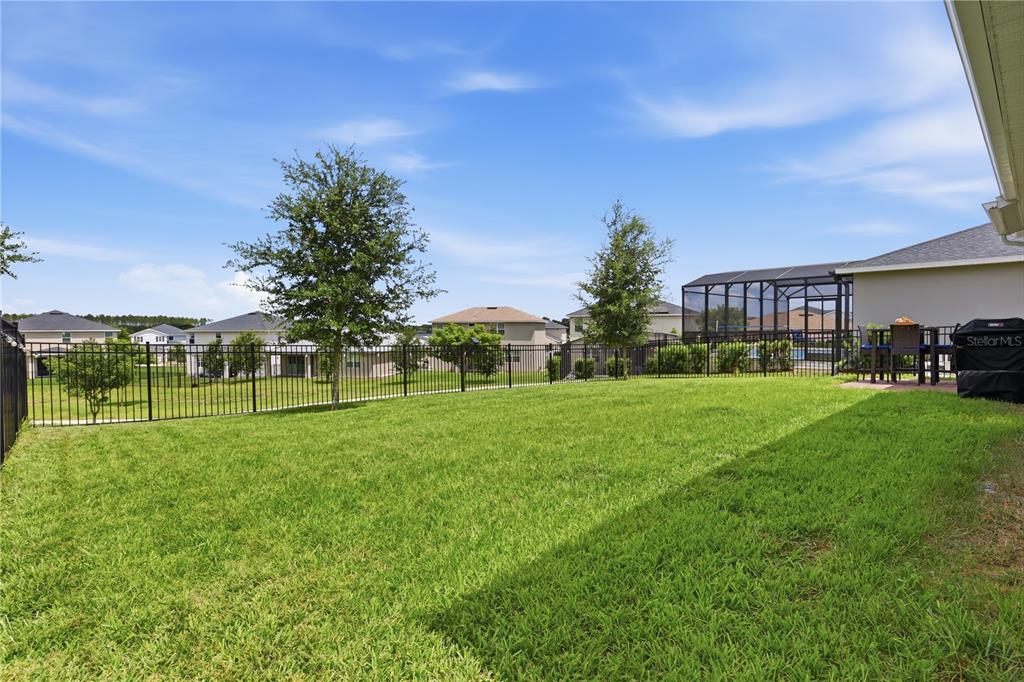 2784 Park Ridge Street Apopka, FL 32712 - Photo 35 of 59