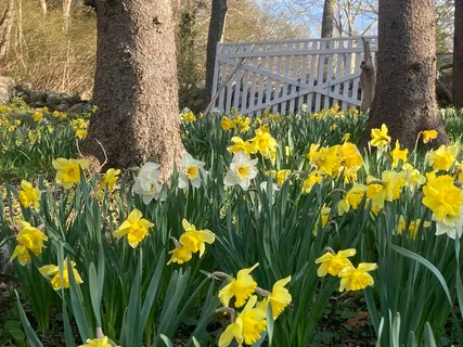 $799,900 | 1150 Russells Mills Road, Dartmouth, MA 02748