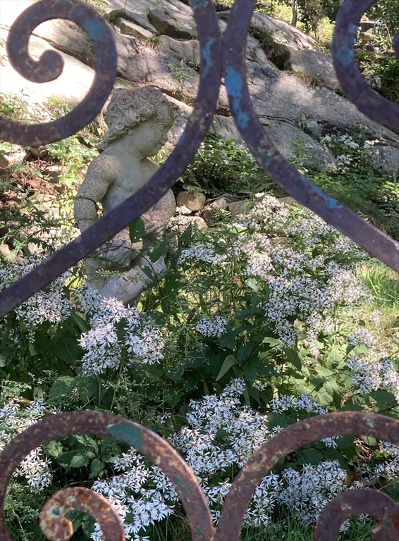 1150 Russells Mills Road Dartmouth, MA 02748 - Photo 26 of 31 a view of a garden with plants