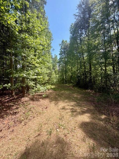 0 Faith Road Mooresville, NC 28115 - Photo 1 of 3 a view of a yard with a tree