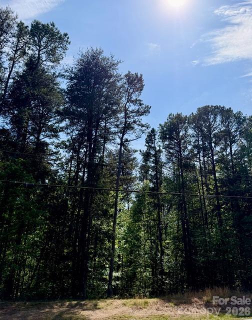 0 Faith Road Mooresville, NC 28115 - Photo 2 of 3 a view of mountain view with lots of trees