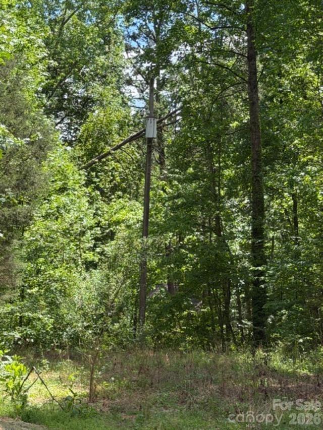 0 Faith Road Mooresville, NC 28115 - Photo 3 of 3 a view of a lush green forest