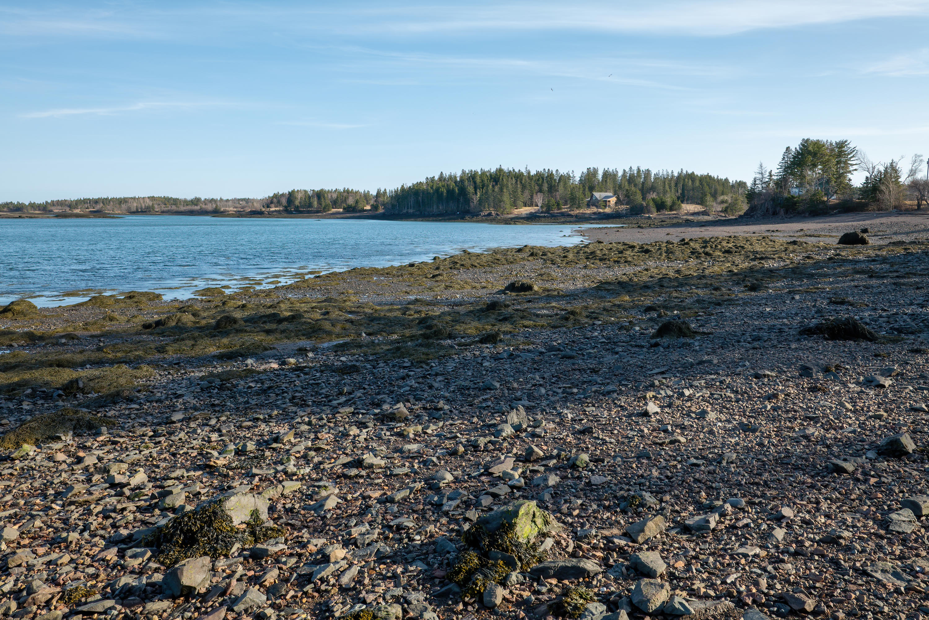 957 North Lubec Road Lubec, ME 04652 - Photo 78 of 88 957 North Lubec HiRes (102)
