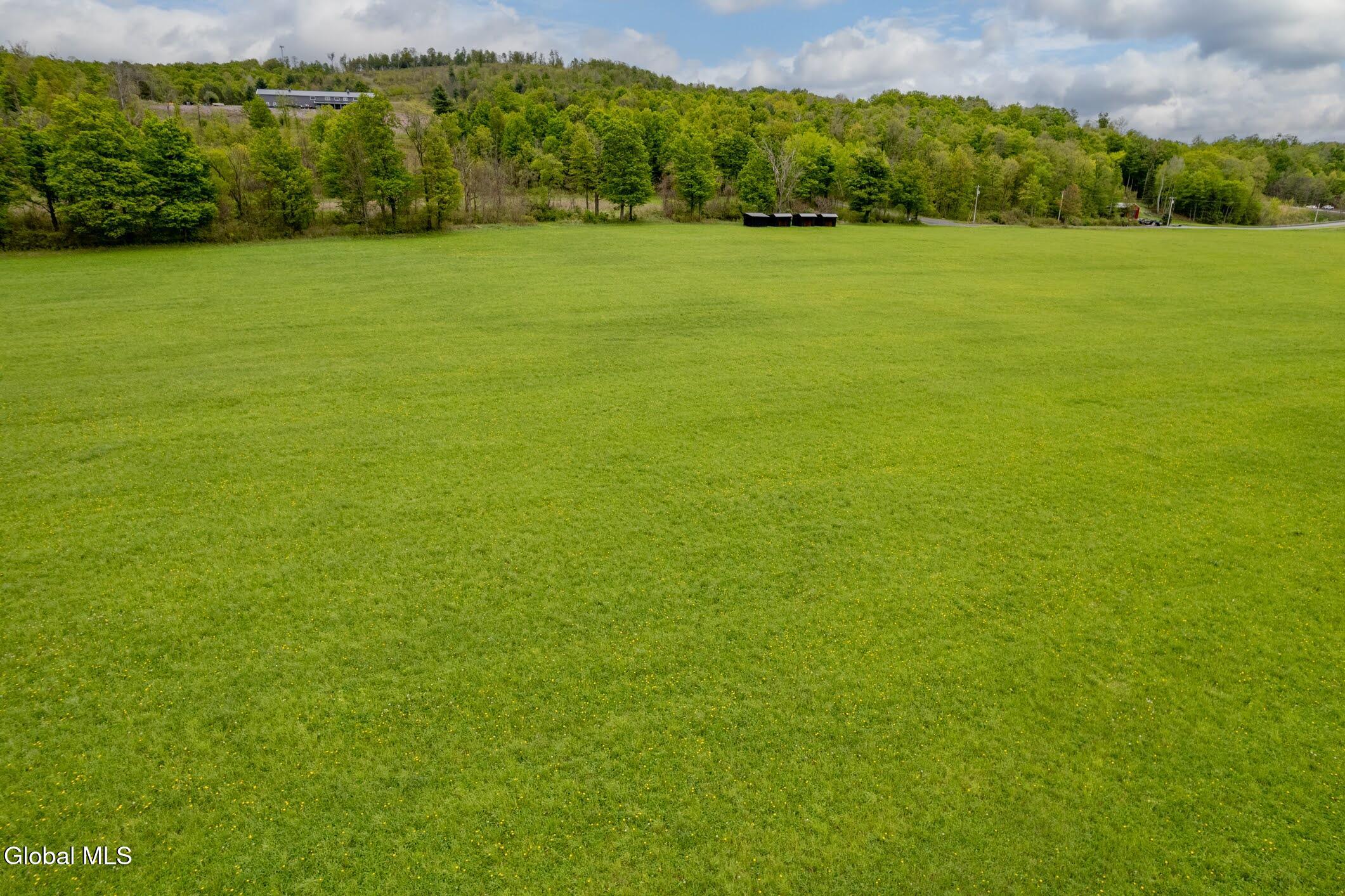 229 Scofield Road Sharon Springs, NY 13459 - Photo 16 of 17 14-229 Scofield