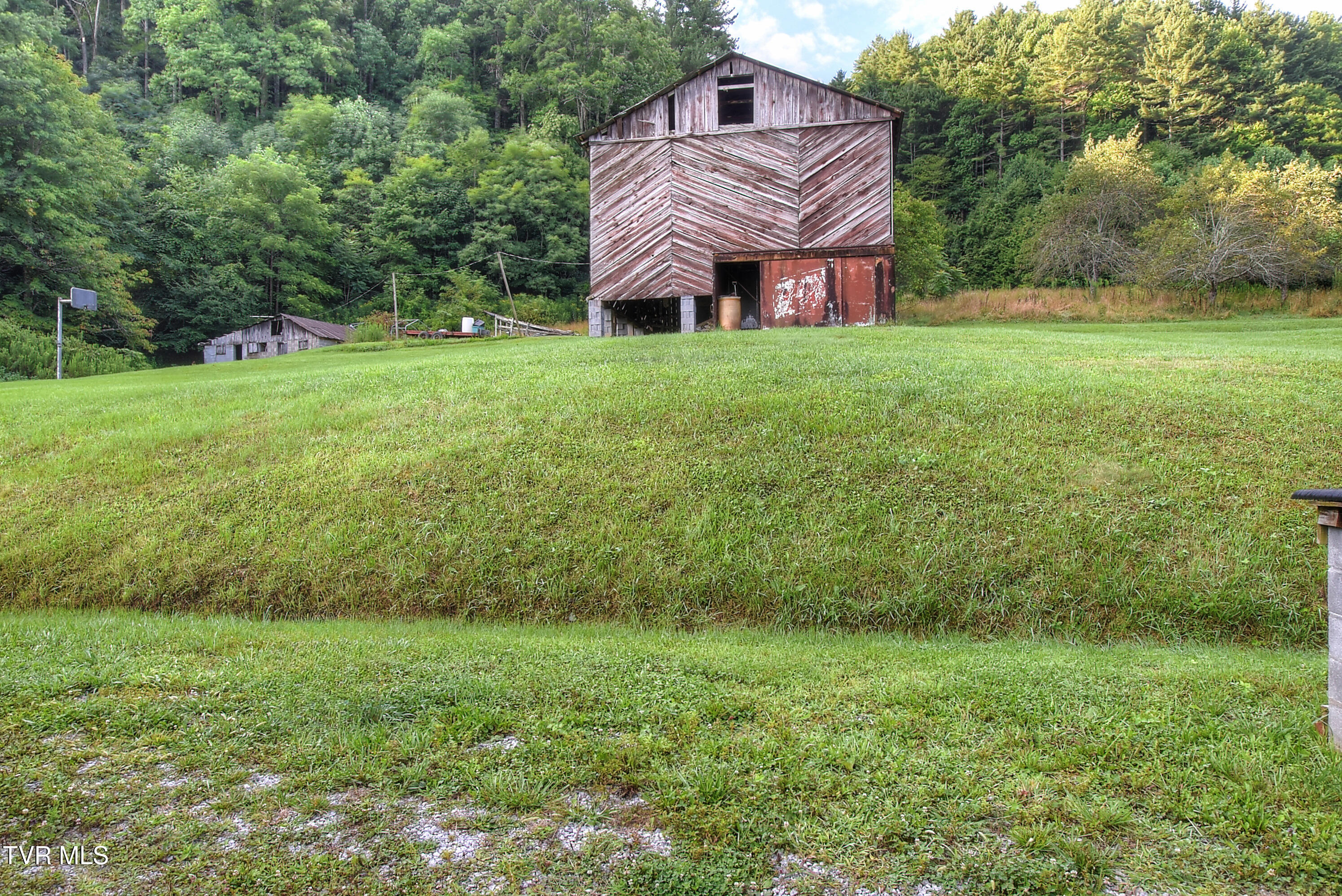 1841 Rice Creek Road Flag Pond, TN 37657 - Photo 42 of 45 DSC_0253_4_5_6_7_8