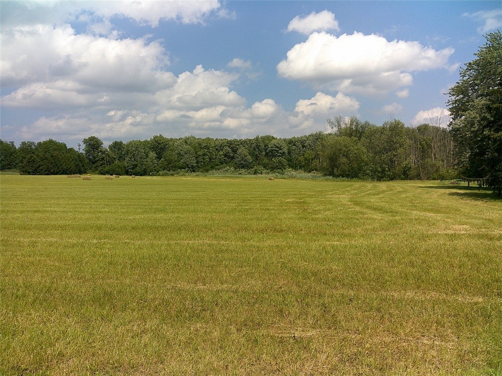 0 West Henrietta Road West Henrietta, NY 14586 - Photo 2 of 3