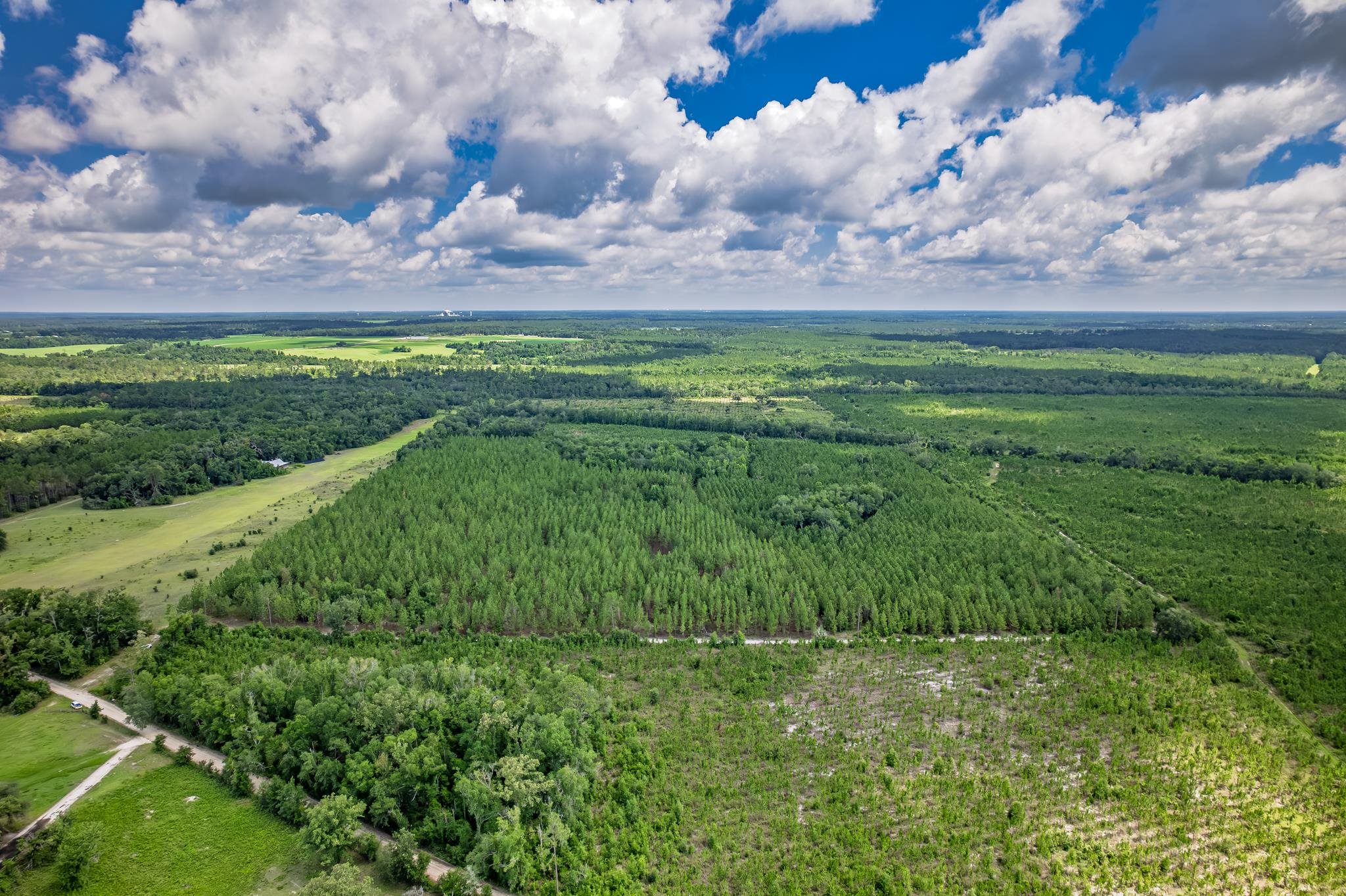 Xxx Northeast Hickory Grove Road Pinetta, FL 32350 - Photo 30 of 32