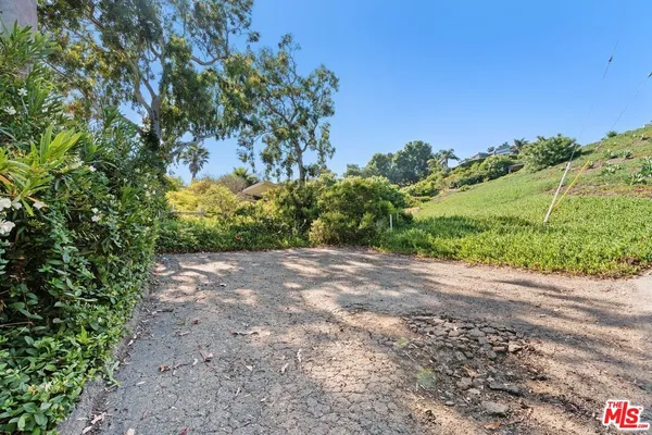 a view of a yard with a tree