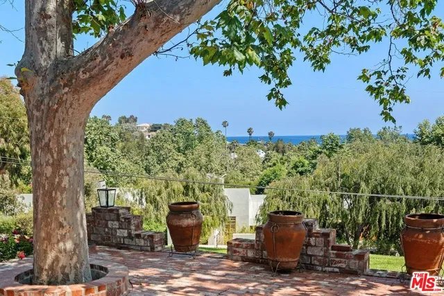 a view of a garden with plants