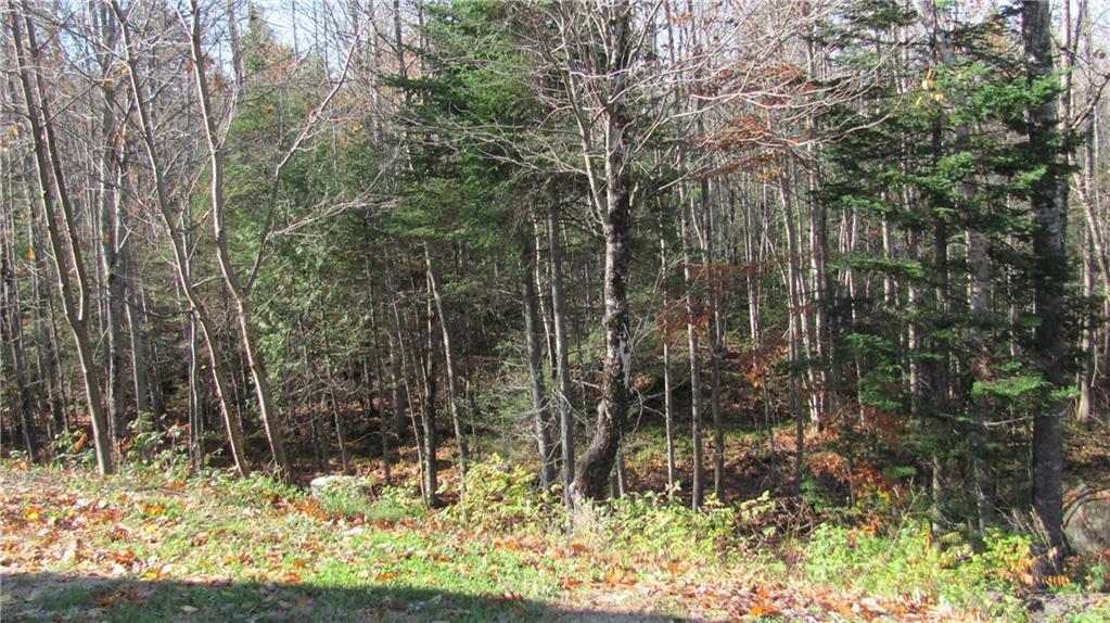405 Hebron Road South Paris, ME 04281 - Photo 6 of 22 Photo