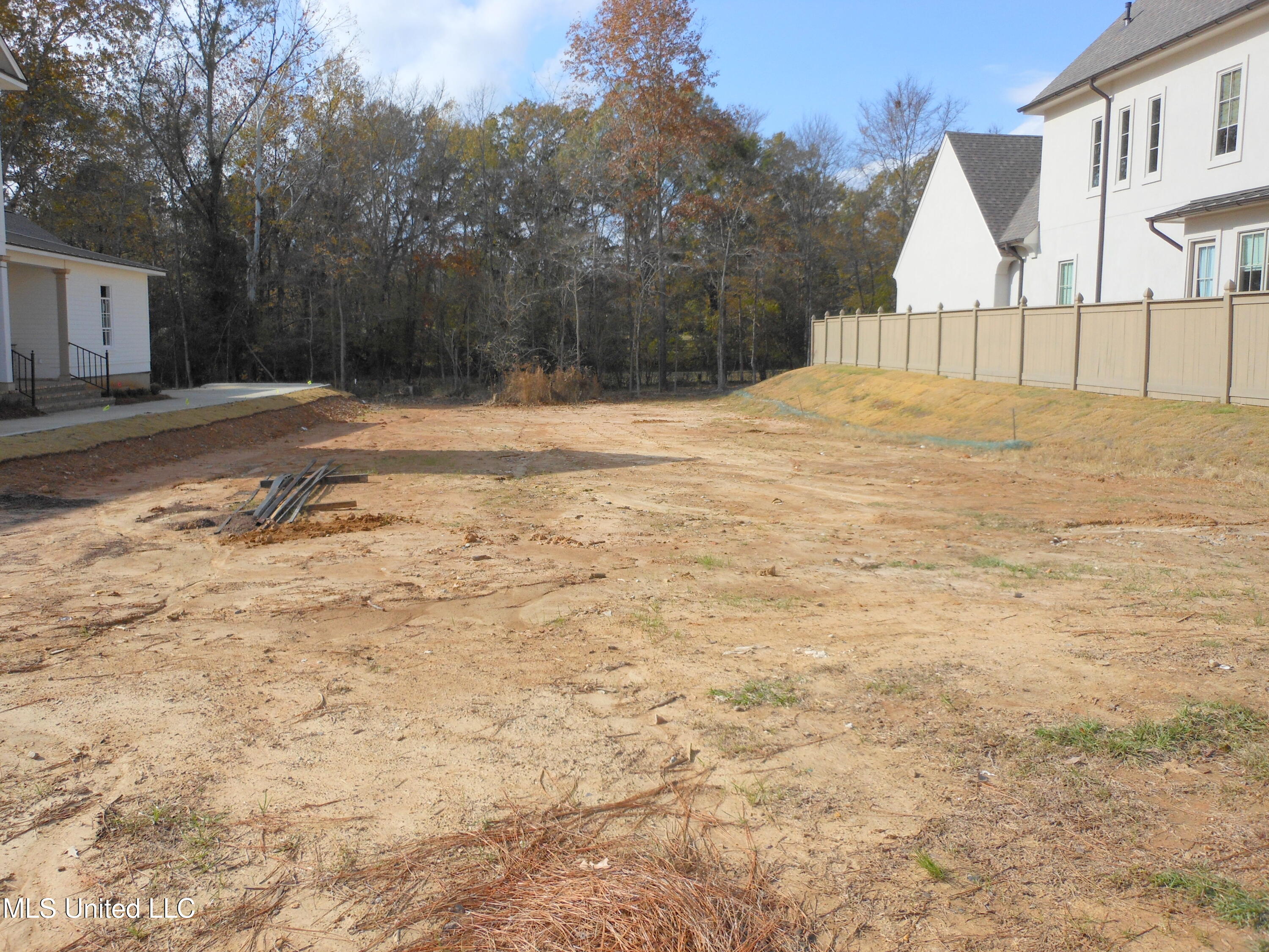 115 Commonwealth Drive Madison, MS 39110 - Photo 2 of 4 Lot 17.1
