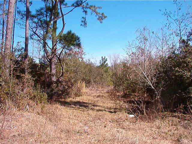 1770 Gilgrim Road Wadmalaw Island, SC 29487 - Photo 2 of 8 IM001272
