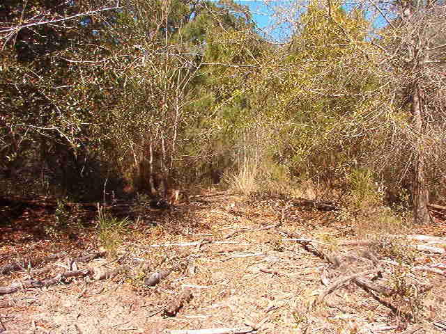 1770 Gilgrim Road Wadmalaw Island, SC 29487 - Photo 6 of 8 IM001276