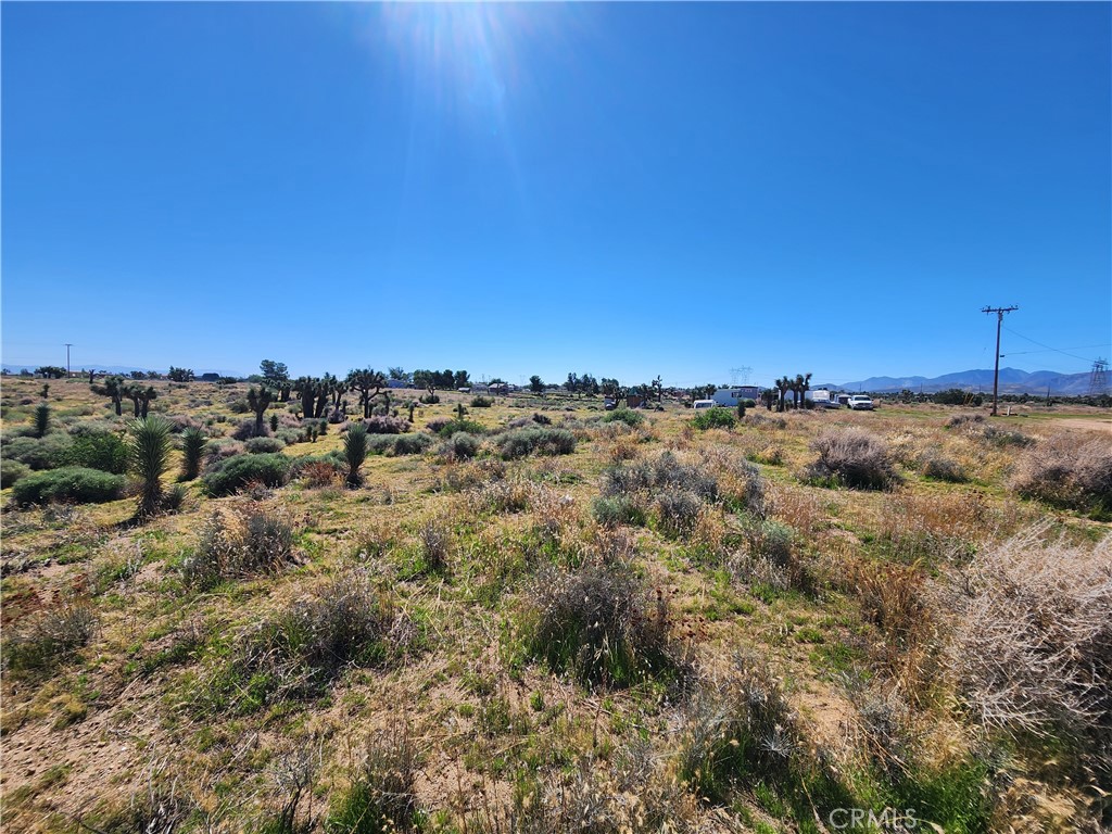 10027 Marrakesh Road Phelan, CA 92371 - Photo 1 of 1 a view of a dry yard with trees