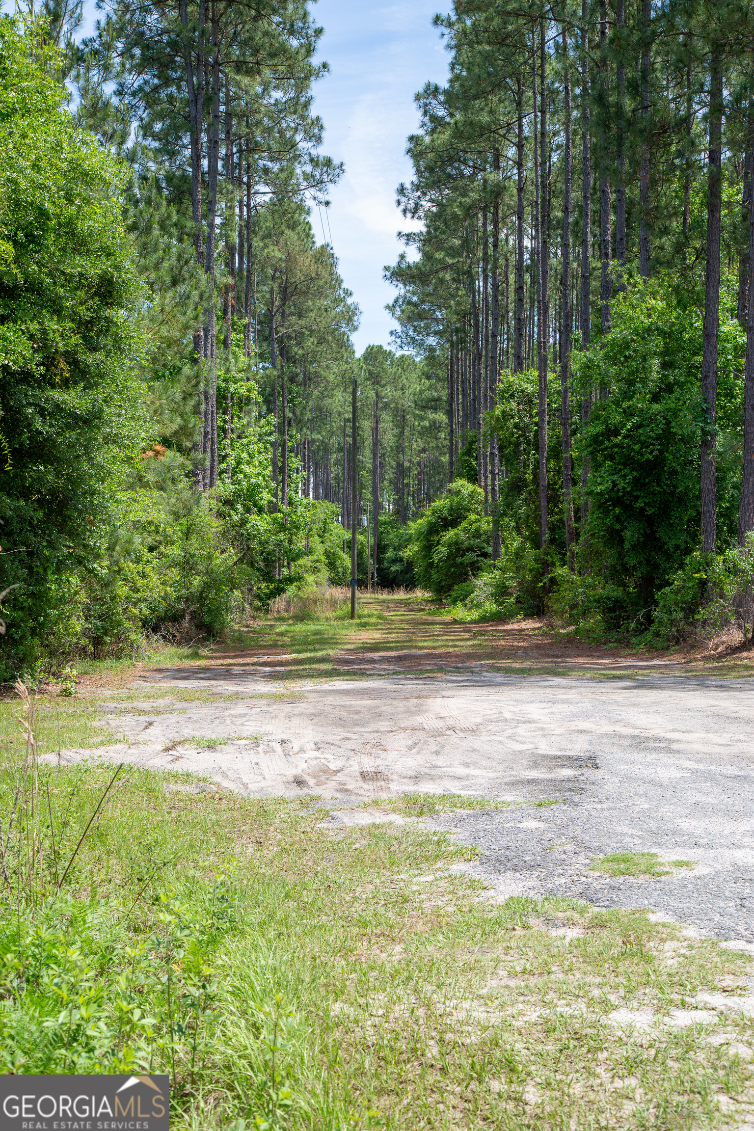 1352 Old Doctortown Road Jesup, GA 31545 - Photo 5 of 10 a view of a yard with a trees