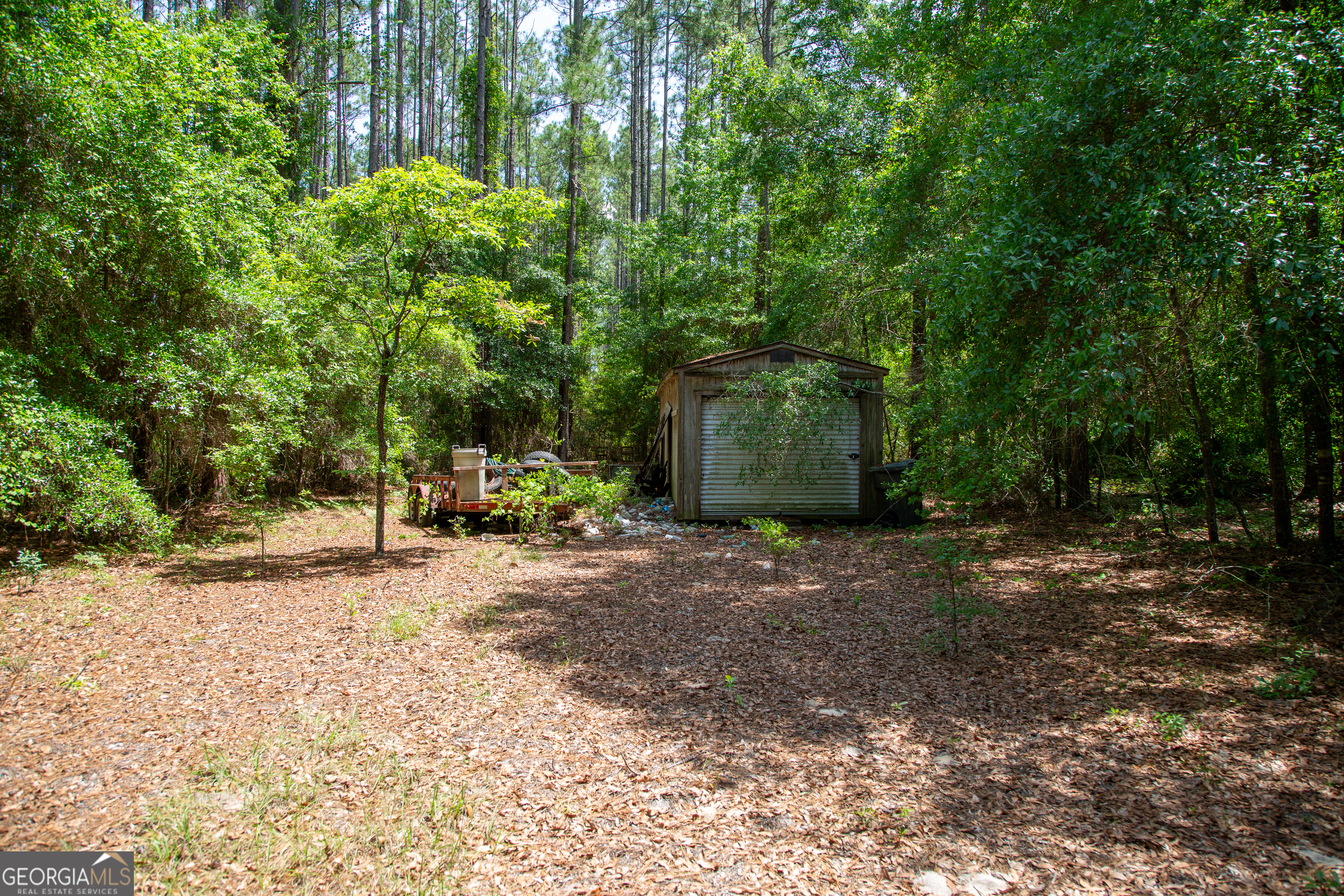 1352 Old Doctortown Road Jesup, GA 31545 - Photo 6 of 10 a view of a backyard with large trees