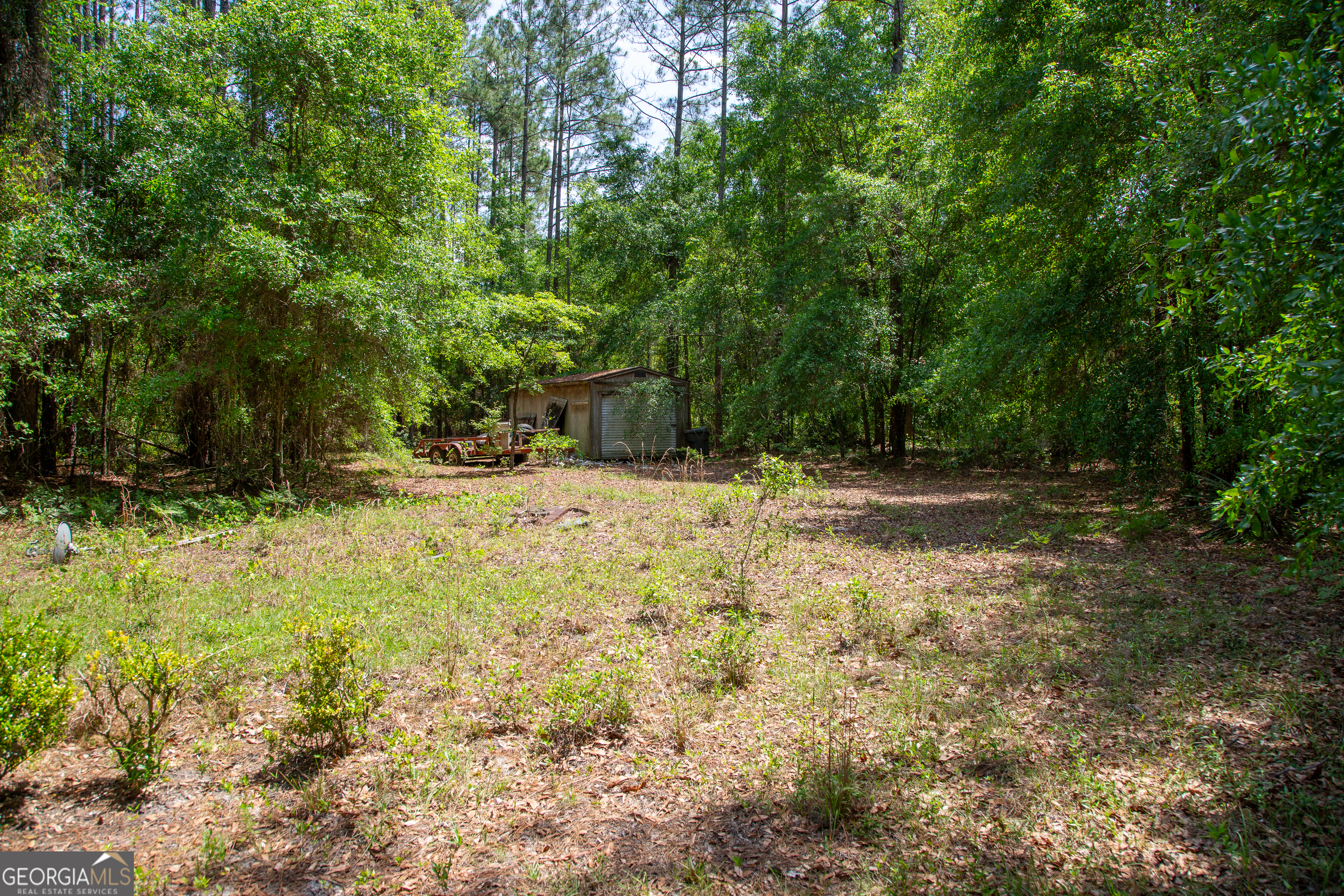1352 Old Doctortown Road Jesup, GA 31545 - Photo 7 of 10 a backyard of a house