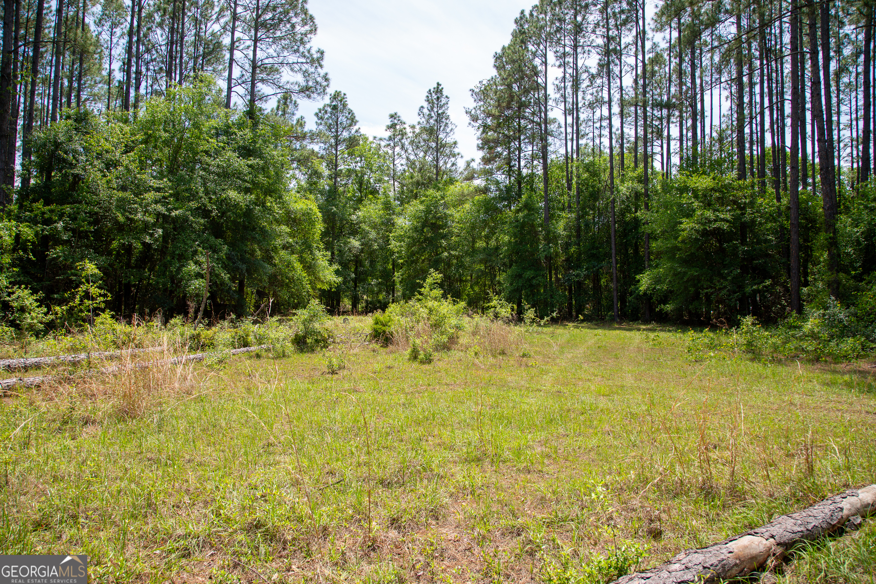 1352 Old Doctortown Road Jesup, GA 31545 - Photo 8 of 10 a view of yard with swimming pool and green space