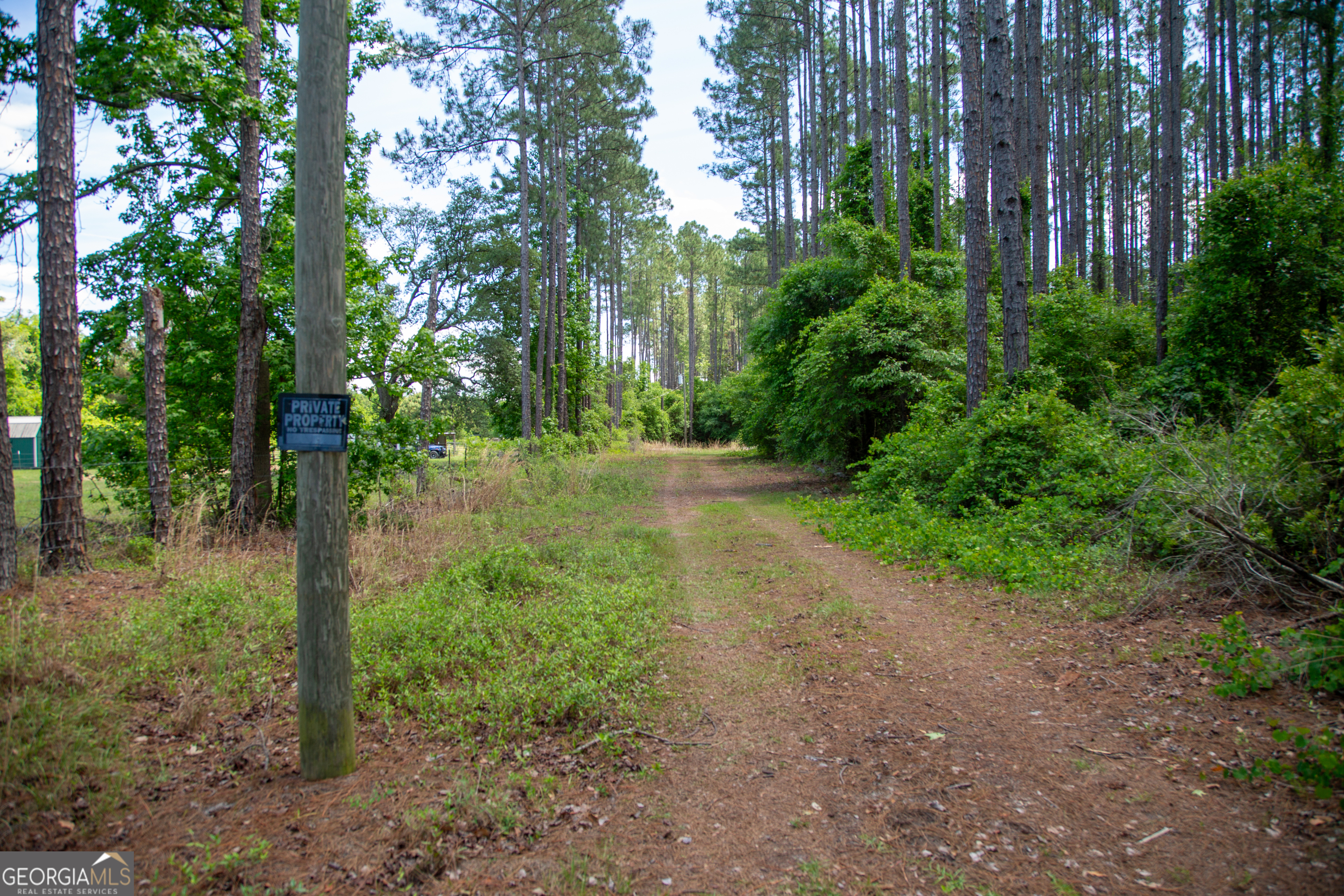 1352 Old Doctortown Road Jesup, GA 31545 - Photo 10 of 10 a view of a yard with large trees
