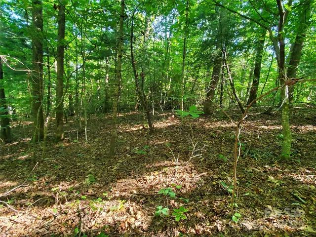 a big yard with lots of green space and house in the back