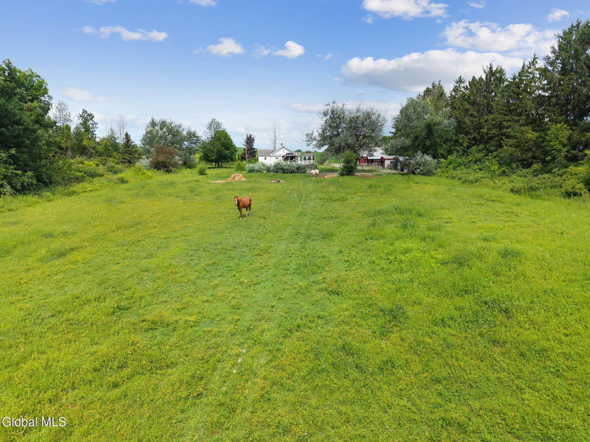 240 Egelston Road Fultonville, NY 12072 - Photo 50 of 60 56-240EglestonRd_56
