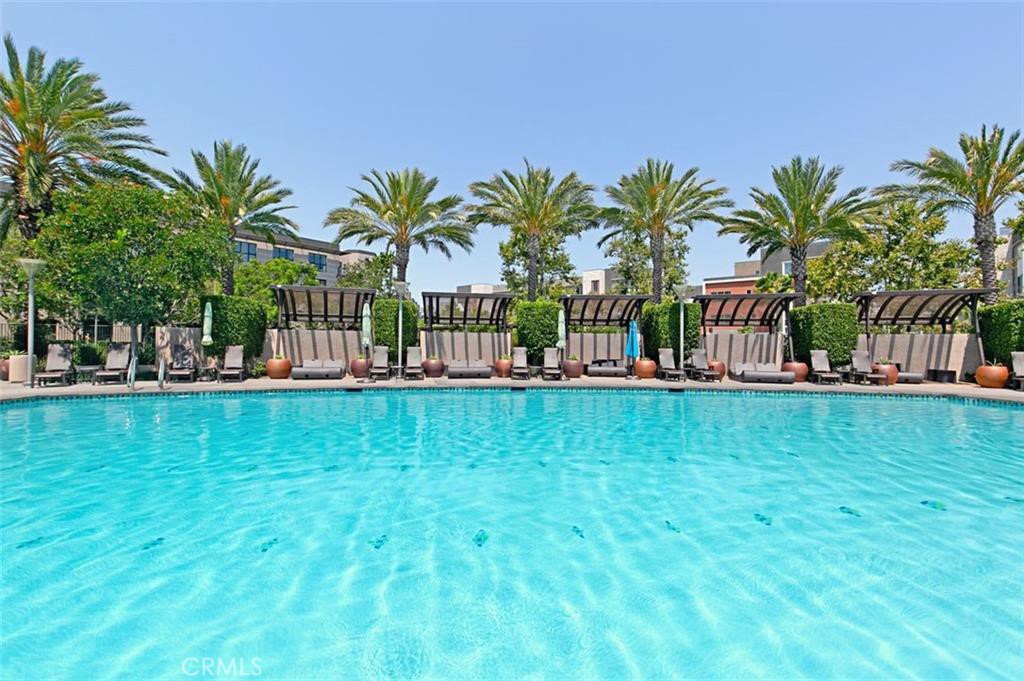 21 Gramercy, Unit 208 Irvine, CA 92612 - Photo 31 of 31 a view of a yard with a palm tree