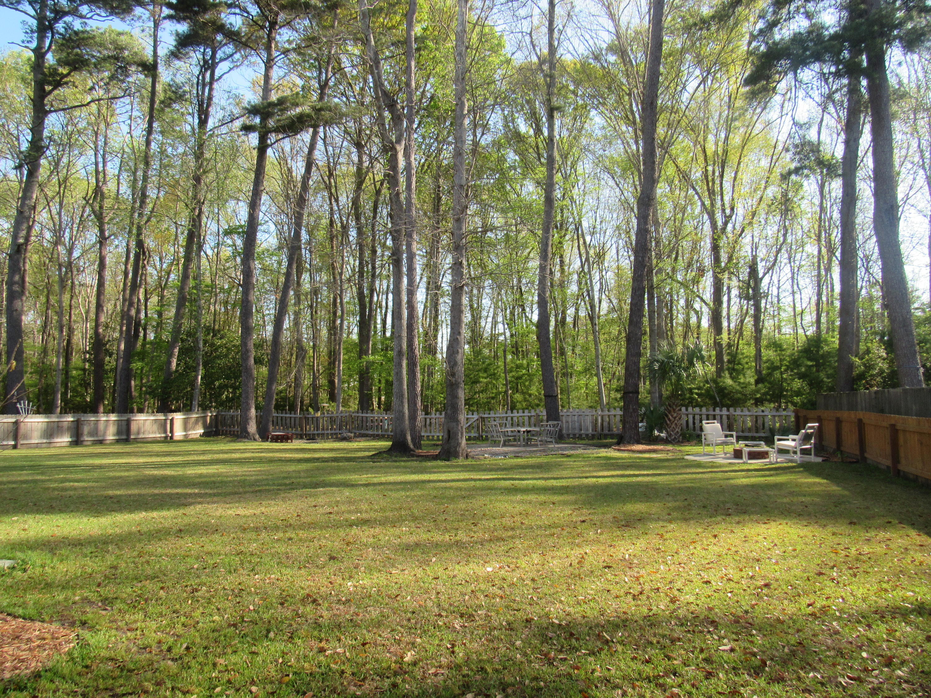 115 Oakbluff Road Summerville, SC 29485 - Photo 1 of 35 Look at this yard!