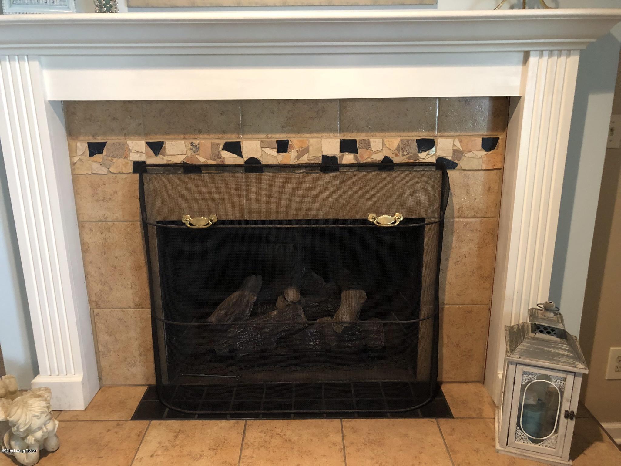 301 Moser Road Louisville, KY 40243 - Photo 11 of 30 Gas Fireplace