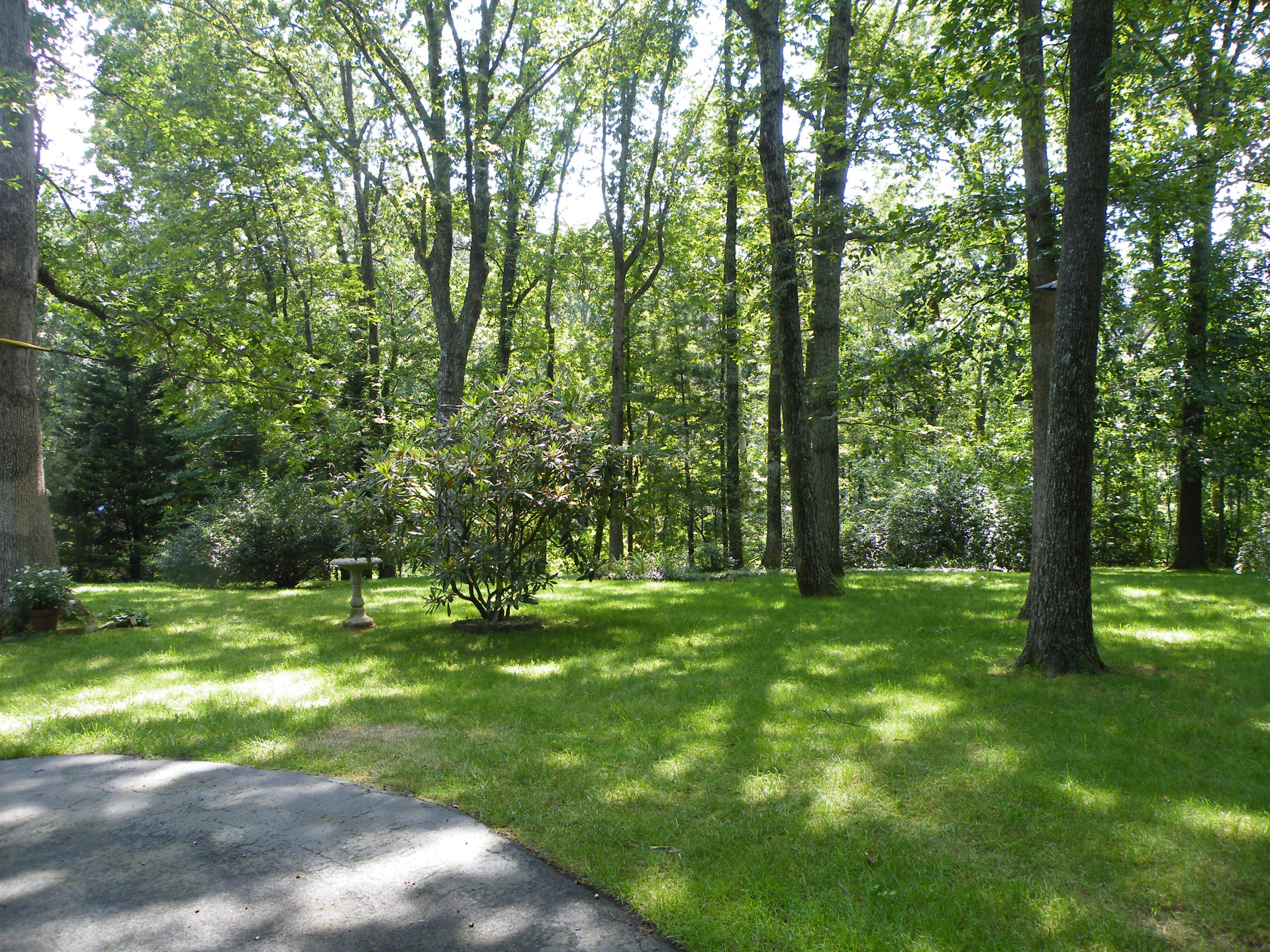 805 Crown Point Road West Signal Mountain, TN 37377 - Photo 4 of 52 DSCF0053