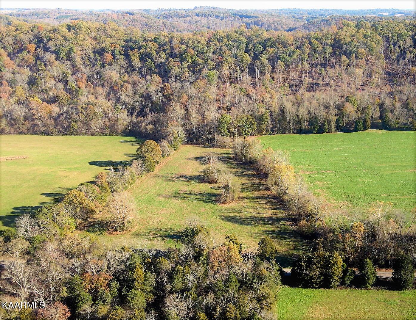 601 Paint Rock Valley Road Philadelphia, TN 37846 - Photo 1 of 43 Lot 15 Fall 2021