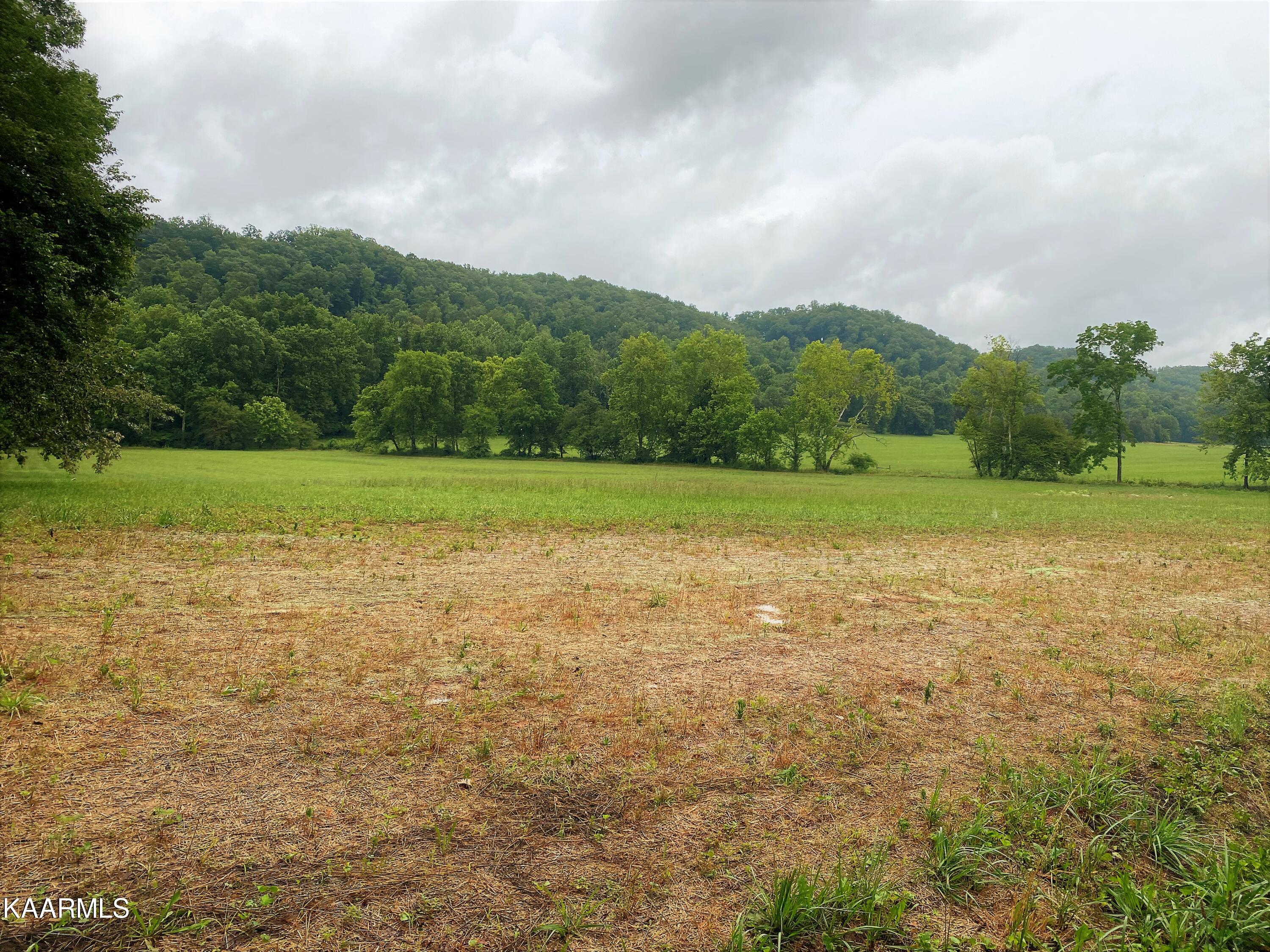 601 Paint Rock Valley Road Philadelphia, TN 37846 - Photo 12 of 43 IMG_0326