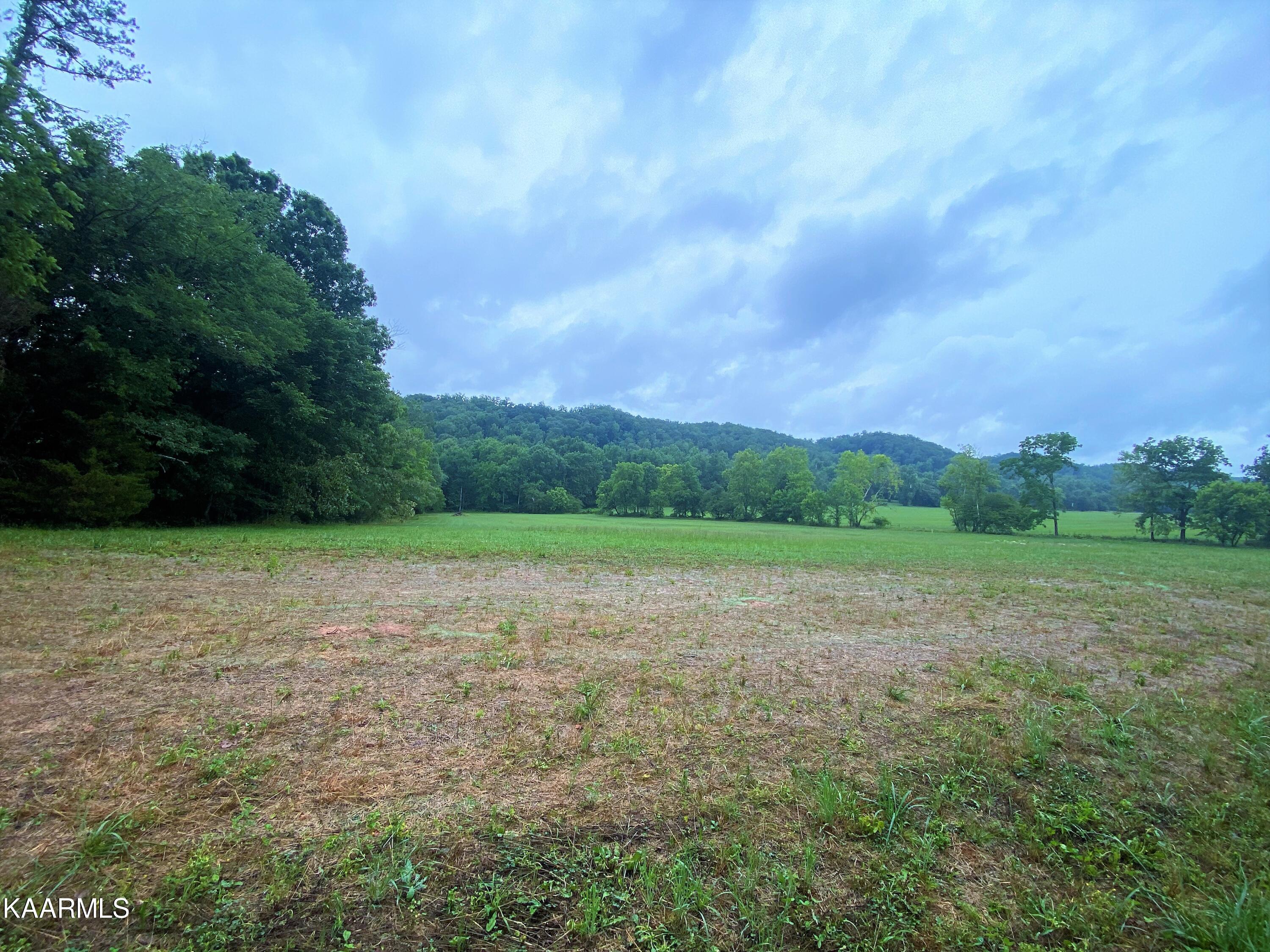 601 Paint Rock Valley Road Philadelphia, TN 37846 - Photo 13 of 43 IMG_0327